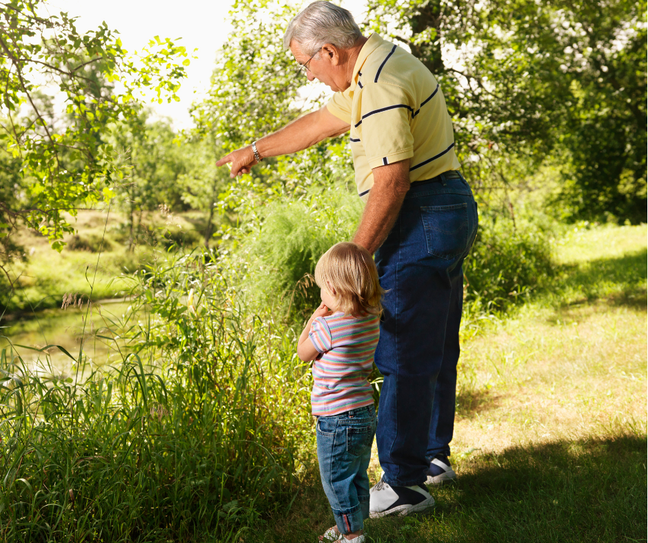 How to Plan and Prepare for Retirement Know Your Risk Tolerance